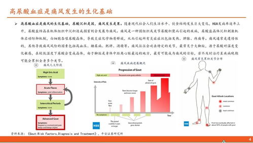 醫(yī)藥行業(yè)深度報告 高尿酸血癥與痛風行業(yè)全景及國內(nèi)貿(mào)易代理前景